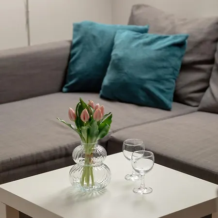 Unique Apartments In Szczecin By Rent Like Home Zewnętrze zdjęcie