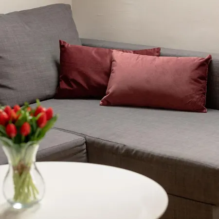 Unique Apartments In Szczecin By Rent Like Home Zewnętrze zdjęcie