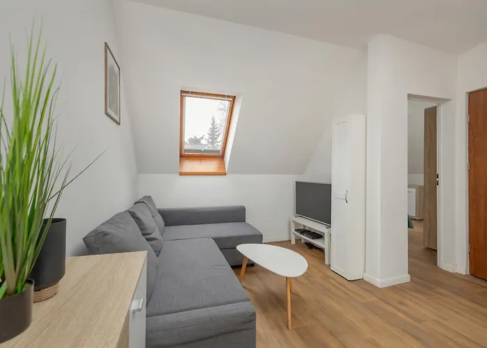 Unique Apartments In Szczecin By Rent Like Home